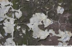 Wall Plaster Paint Peeling